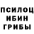 Псилоцибиновые грибы мицелий Alfiya Zhafira