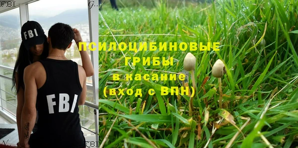 apvp Алексеевка