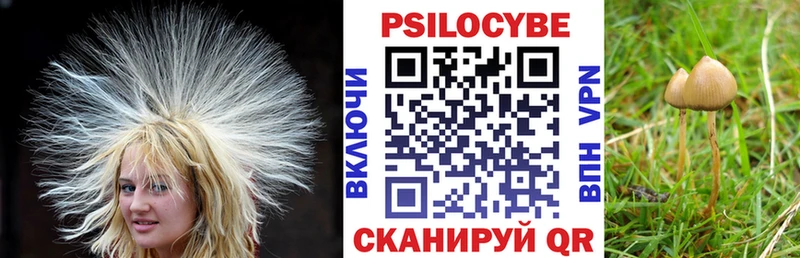 купить наркотик  Сухиничи  Галлюциногенные грибы Cubensis 